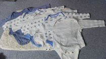 5x body