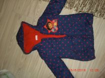 Vetrovka dora