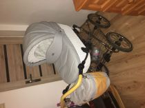 Kočik baby merc