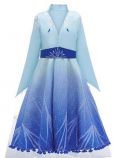 Frozen 2 elsa kostým