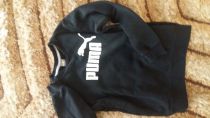 Mikina