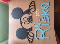Mickey riško