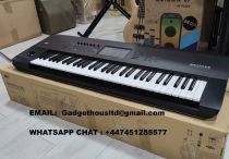 Korg nautilus|korg pa1000
