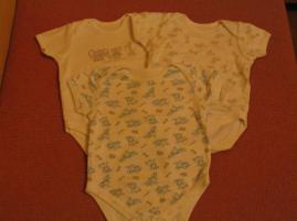 Bodyna (1/3)