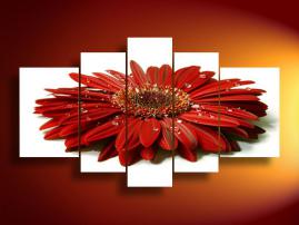 391 - červená gerbera (1/2)