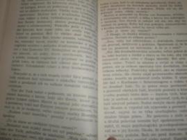Laska v amsterdame (2/2)