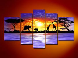 1771 afrika 170x100 (1/2)