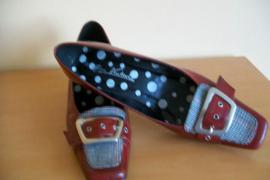 Lodicky gino ventori (1/4)