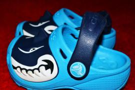 Shark crocs Next (8/8)