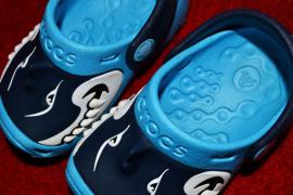 Shark crocs next (3/7)