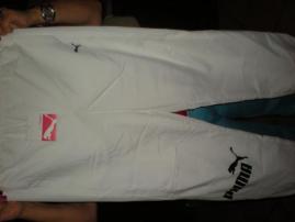 Nove puma (1/3)