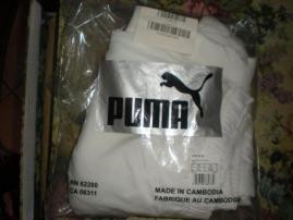 Nove puma (3/3)