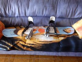 Snowboard (4/4)