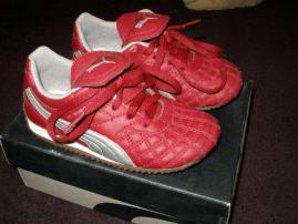 Botasky puma (2/3)