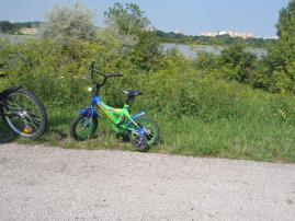 Bicykel 12 palcovy (1/2)