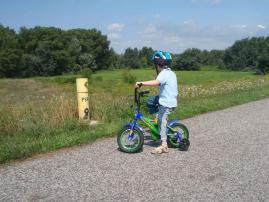 Bicykel 12 palcovy (2/2)