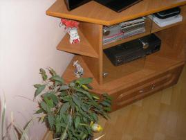 Stolík pod tv (3/4)