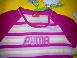Krásne puma triko (1/3)
