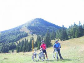 Tričko (3/3)