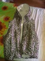 Leopardia vesticka (2/3)
