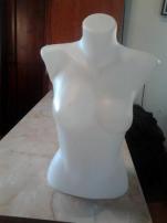 Model (1/2)