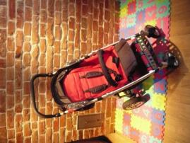 Gesslein f4 buggy (2/4)