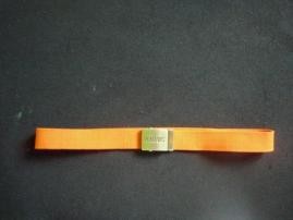 Oranzovy opasok (2/3)