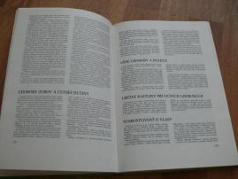 Veľká kniha (3/3)