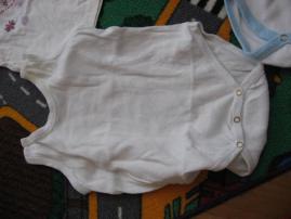 Body (2/4)