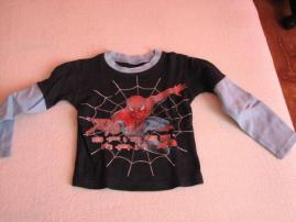 Spiderman (1/1)