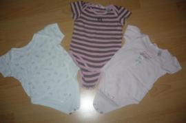 Bodynka (1/4)