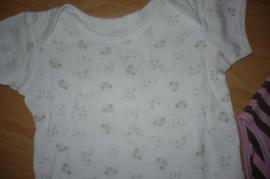 Bodynka (4/4)