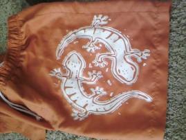Kratasy ci plavky? (2/3)