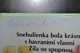 Snehulienka a 7 trpasliko (4/4)
