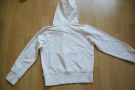 Mikina l:o:g.g. (3/3)