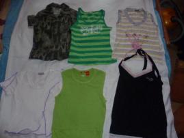 Cela sada 1. (1/3)