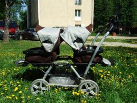 Peg perego duette (1/4)