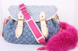 Louis vuitton (1/1)