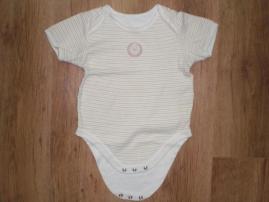 Body (1/1)