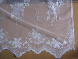 Biela (2/3)