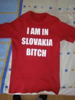 Pánske obtiahnuté tričko (1/3)
