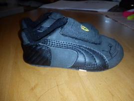 Puma ferari (2/2)