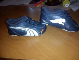 Puma (1/2)