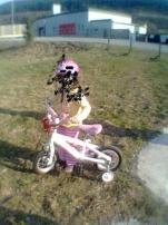 Predam bicykel 12 (1/1)