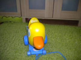 Kačička baby born (2/2)