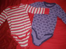 Body lindex (1/1)