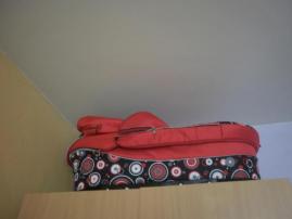 Kočiar camarelo (3/4)