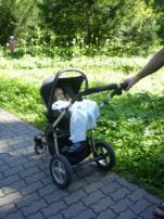 Kocik firstwheels (2/2)