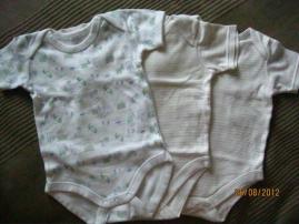 Bodynka (1/1)