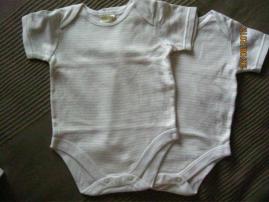 Bodynka (1/1)